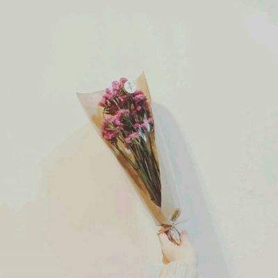 废土快递游戏